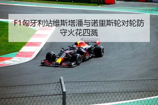 F1匈牙利站维斯塔潘与诺里斯轮对轮防守火花四溅
