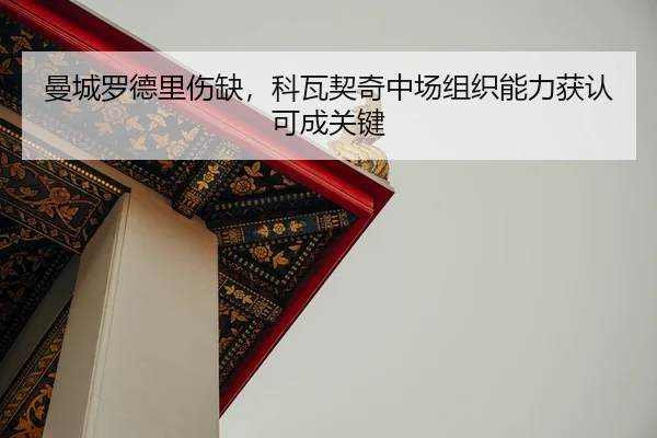 man-cheng-luo-de-li-shang-que-ke-wa-qi-qi-zhong-chang-zu-zhi-neng-li-huo-ren-ke-cheng-guan-jian-3-255.jpg
