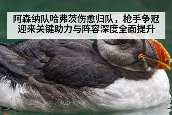 阿森纳队哈弗茨伤愈归队，枪手争冠迎来关键助力与阵容深度全面提升